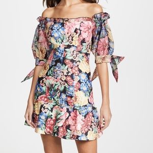 Keepsake runaway dress in black hydrangea